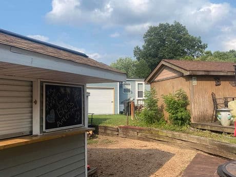 Tree removal gallery