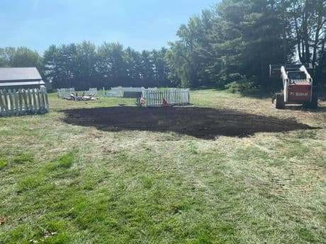 Tree service completed job