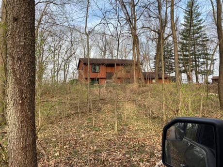 Ellis Hardwoods field work