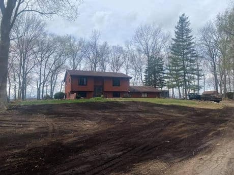 Ellis Hardwoods tree service
